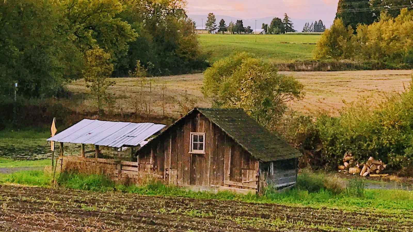 A small wood home sitting in a field.